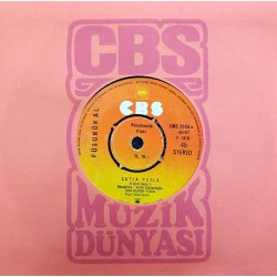 FÜSUN ÖNAL ÇATLA PATLA - İNSANCIKLAR