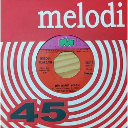 YURDAER DOĞULU BİR GARİP YOLCU ~ AGORA MEYHANESİ